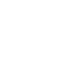 euro